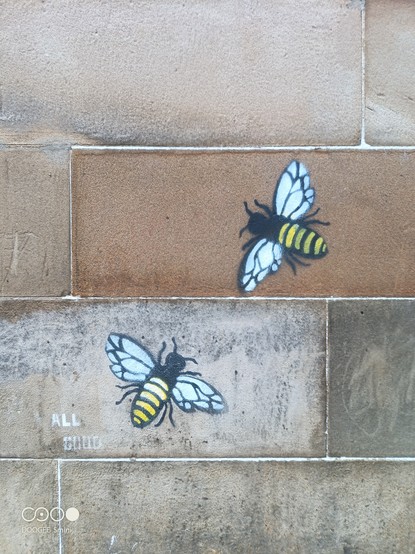 Yellow and black bees with white and black outstretched wings.
